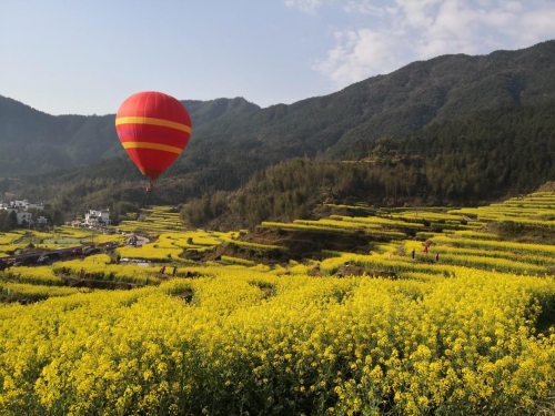 【黨群園地】立足本職提升素質關愛健康擁抱自然 ——集團工會組織全體女職工開展旅游活動